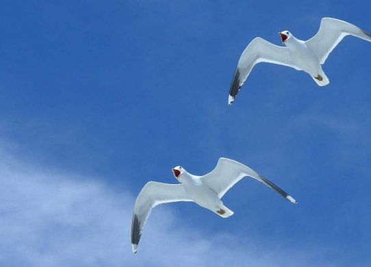 億方云不能同步的原因是什么？