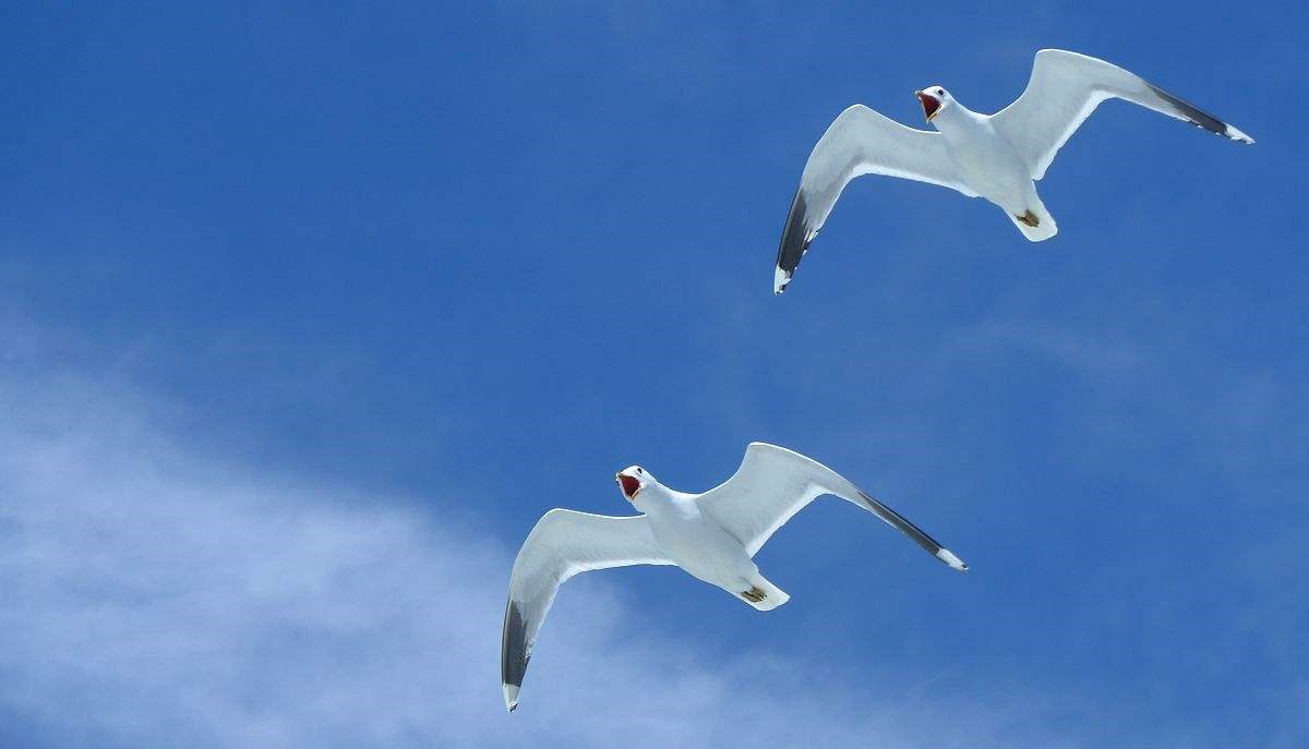 億方云不能同步的原因是什么？