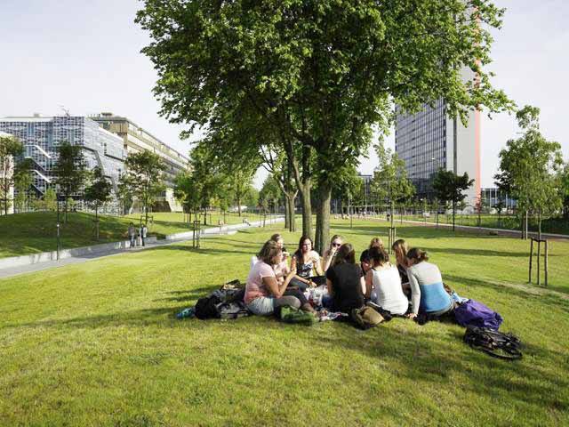 教育行業“校園云盤”解決方案插圖