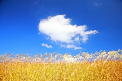 詳解億方云網盤功能,讓選擇不再困難插圖2 詳解億方云網盤功能,讓選擇不再困難插圖2