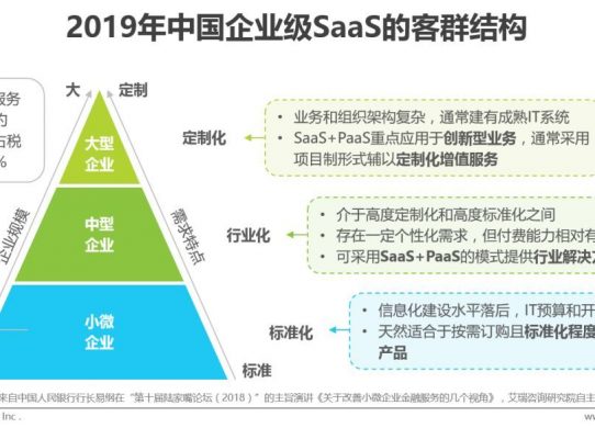 中國企業(yè)級SaaS的客群結(jié)構(gòu)、競爭要素及平臺化策略